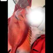 ヒメ日記 2026/03/19 10:41 投稿 恋心（ここ） エスペランサ新館