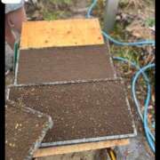 ヒメ日記 2026/03/23 11:29 投稿 恋心（ここ） エスペランサ新館