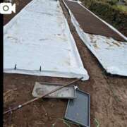 ヒメ日記 2026/03/23 11:40 投稿 恋心（ここ） エスペランサ新館