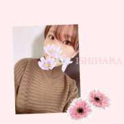 ヒメ日記 2025/01/26 11:32 投稿 石原 鶯谷人妻城