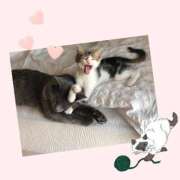 ヒメ日記 2025/04/17 10:49 投稿 石原 鶯谷人妻城