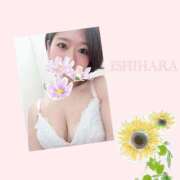 ヒメ日記 2025/04/26 09:40 投稿 石原 鶯谷人妻城