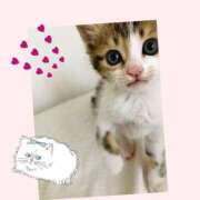 ヒメ日記 2025/04/29 23:45 投稿 石原 鶯谷人妻城