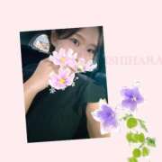 ヒメ日記 2025/06/08 11:35 投稿 石原 鶯谷人妻城