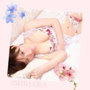 ヒメ日記 2025/09/06 15:23 投稿 石原 鶯谷人妻城