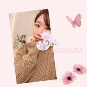 ヒメ日記 2025/10/03 13:29 投稿 石原 鶯谷人妻城