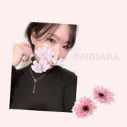 ヒメ日記 2025/10/07 17:15 投稿 石原 鶯谷人妻城