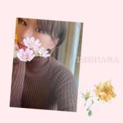 石原 スペ金だ〜🌟 鶯谷人妻城