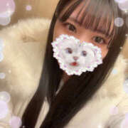 ヒメ日記 2025/02/12 05:13 投稿 めい ビギナーズ神戸