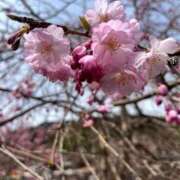 ちさ お休みになりましたm(__)m 熟女家 東大阪店（布施・長田）