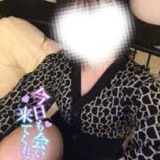 ヒメ日記 2025/02/15 17:57 投稿 あお 黒い金魚（札幌）