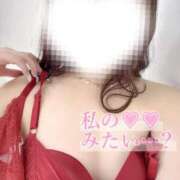 ヒメ日記 2025/02/21 05:47 投稿 あお 黒い金魚（札幌）