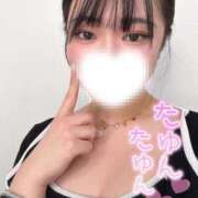 ヒメ日記 2025/03/25 16:22 投稿 あお 黒い金魚（札幌）