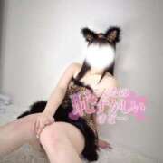 ヒメ日記 2025/05/22 14:37 投稿 あお 黒い金魚（札幌）