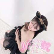 ヒメ日記 2025/07/27 19:32 投稿 あお 黒い金魚（札幌）