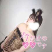 ヒメ日記 2025/08/10 23:00 投稿 あお 黒い金魚（札幌）