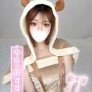 ヒメ日記 2025/11/01 23:10 投稿 あお 黒い金魚（札幌）