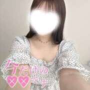 ヒメ日記 2025/11/02 21:53 投稿 あお 黒い金魚（札幌）