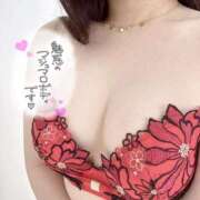 ヒメ日記 2025/11/14 18:50 投稿 あお 黒い金魚（札幌）