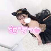 ヒメ日記 2025/11/29 18:37 投稿 あお 黒い金魚（札幌）