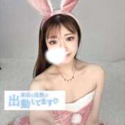 ヒメ日記 2025/12/10 18:20 投稿 あお 黒い金魚（札幌）