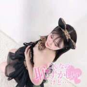 ヒメ日記 2025/12/16 22:50 投稿 あお 黒い金魚（札幌）