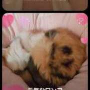 ヒメ日記 2024/12/16 18:41 投稿 りか 熟女の風俗最終章 相模原店