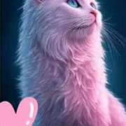 ヒメ日記 2025/05/13 20:20 投稿 りか 熟女の風俗最終章 相模原店