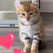 ヒメ日記 2025/05/19 18:26 投稿 りか 熟女の風俗最終章 相模原店