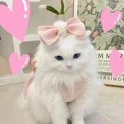 ヒメ日記 2025/09/01 18:24 投稿 りか 熟女の風俗最終章 相模原店