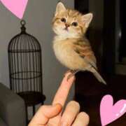 ヒメ日記 2025/10/25 00:30 投稿 りか 熟女の風俗最終章 相模原店