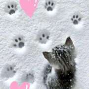 ヒメ日記 2025/12/04 21:31 投稿 りか 熟女の風俗最終章 相模原店