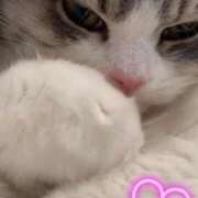 ヒメ日記 2026/03/13 06:10 投稿 りか 熟女の風俗最終章 相模原店