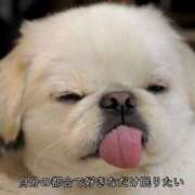 ヒメ日記 2025/03/04 18:34 投稿 あおい 沖縄素人図鑑