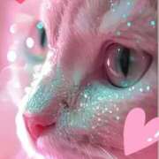 ヒメ日記 2025/05/12 22:50 投稿 りか 熟女の風俗最終章 町田店