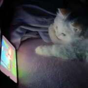 ヒメ日記 2025/05/16 20:31 投稿 りか 熟女の風俗最終章 町田店