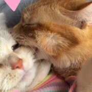 ヒメ日記 2025/09/26 18:33 投稿 りか 熟女の風俗最終章 町田店