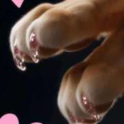 ヒメ日記 2025/10/08 01:01 投稿 りか 熟女の風俗最終章 町田店