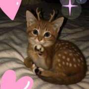 ヒメ日記 2025/11/05 00:47 投稿 りか 熟女の風俗最終章 町田店