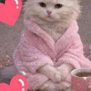 ヒメ日記 2026/03/06 05:20 投稿 りか 熟女の風俗最終章 町田店