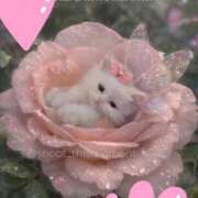 ヒメ日記 2026/03/30 21:20 投稿 りか 熟女の風俗最終章 町田店