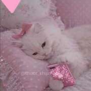 ヒメ日記 2026/04/23 18:26 投稿 りか 熟女の風俗最終章 町田店