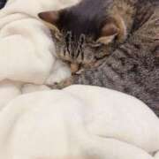 ヒメ日記 2025/08/25 10:14 投稿 にあ奥様 なすがママされるがママ川越