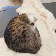 ヒメ日記 2025/04/14 17:14 投稿 にあ奥様 なすがママされるがママ春日部