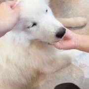 ヒメ日記 2026/07/27 12:28 投稿 にあ奥様 なすがママされるがママ西川口