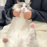 ヒメ日記 2025/03/14 17:04 投稿 にあ奥様 なすがママされるがママ