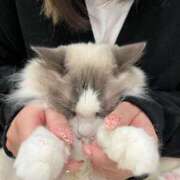 ヒメ日記 2025/04/06 11:05 投稿 にあ奥様 なすがママされるがママ