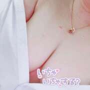 ヒメ日記 2025/07/06 01:47 投稿 にあ奥様 なすがママされるがママ