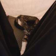 ヒメ日記 2025/12/13 14:35 投稿 にあ奥様 なすがママされるがママ