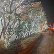 ヒメ日記 2025/03/29 10:48 投稿 雫 マドンナSANSAIN